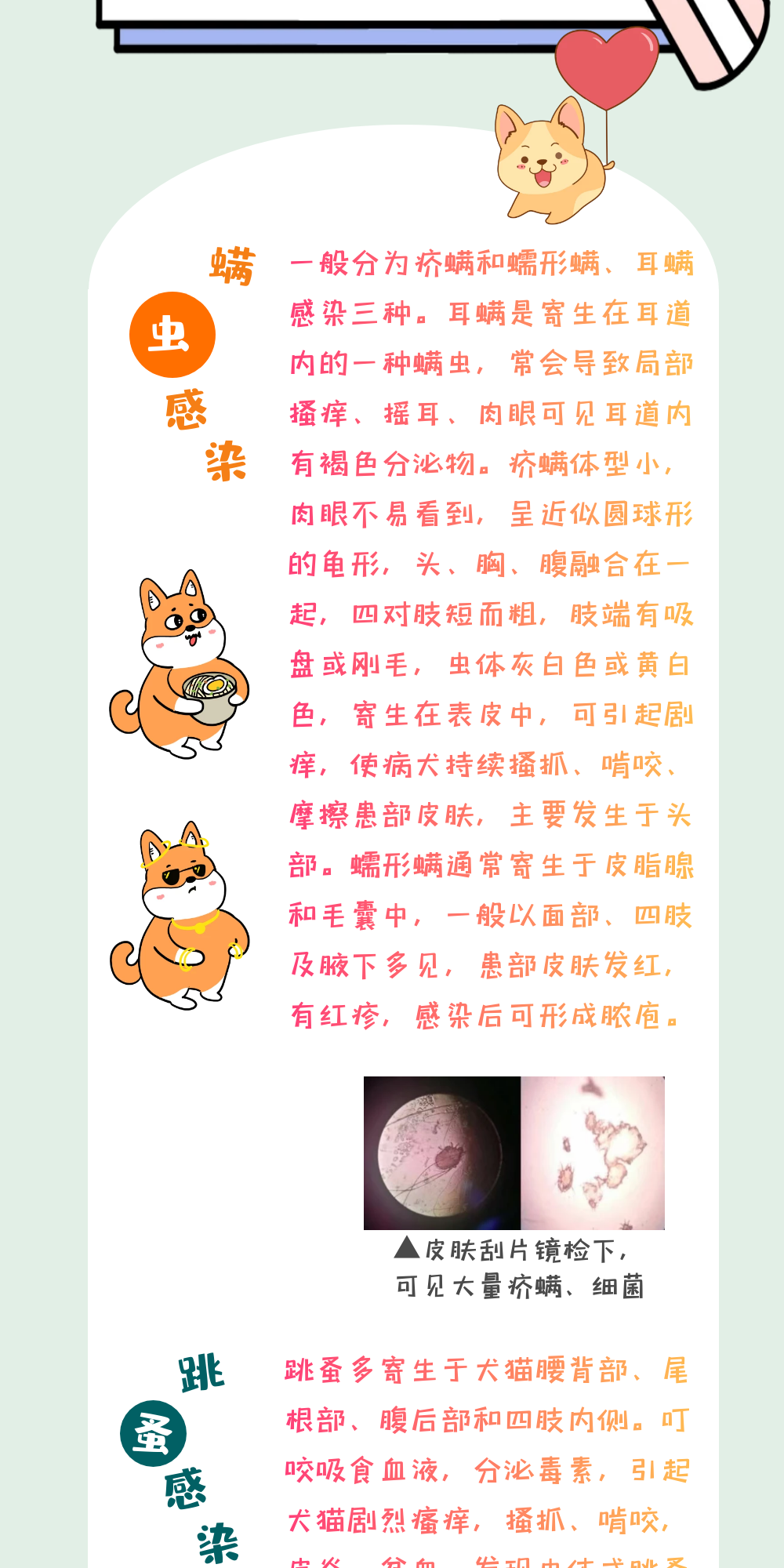 图怪兽_3_35c5ce48d54fbb3d26f55006bac8aada_36484_3.png