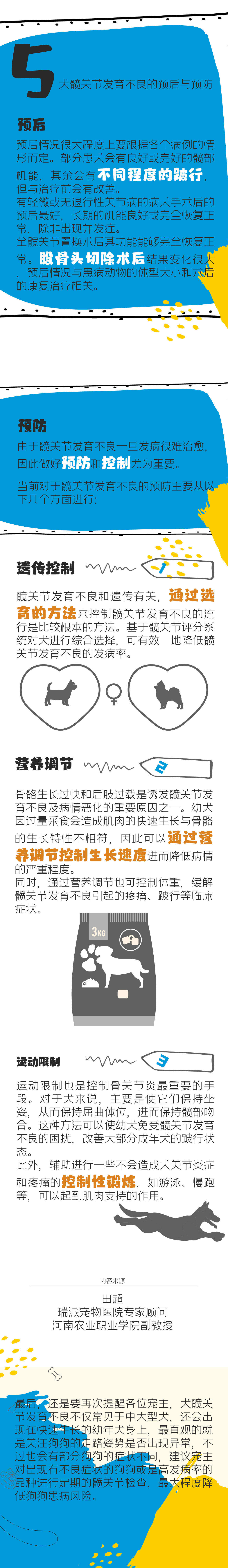 犬髋关节发育不良_4.jpg